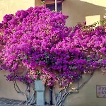 شقة Dany's In Baia De Bahas مارينيلاّ