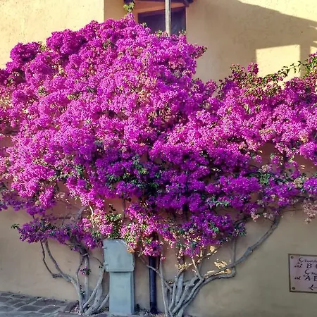 Lägenhet Dany's In Baia De Bahas Marinella (Sardinia)