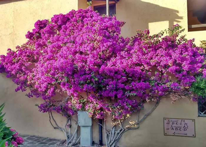 Daire Dany's In Baia De Bahas Marinella (Sardinia)